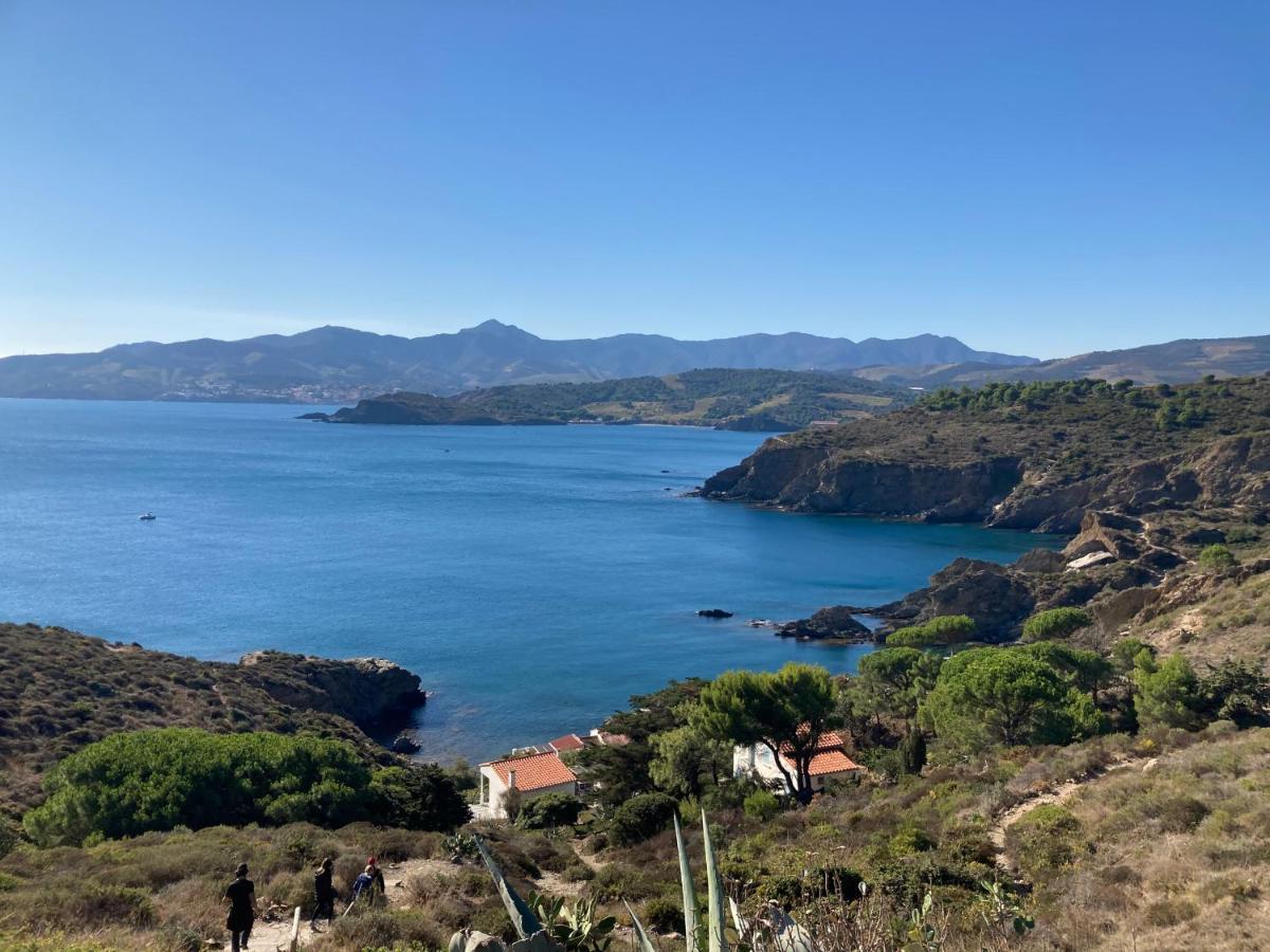 Villa De Charme A 1 Minute De La Plage A Pied Banyuls-sur-Mer Eksteriør billede